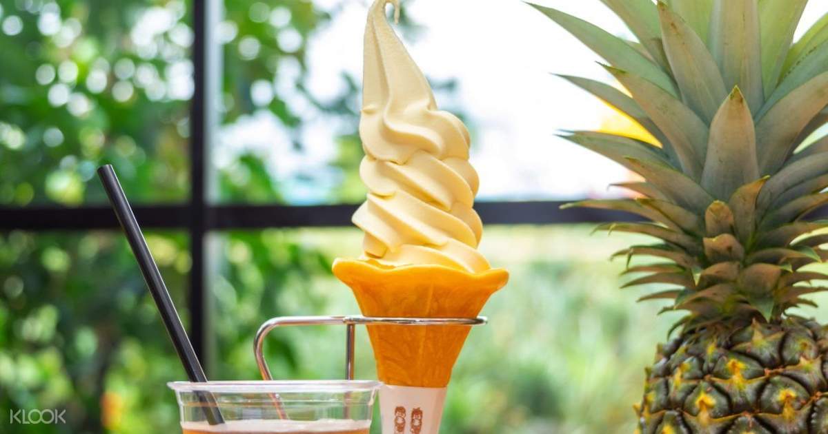 Nago Pineapple Park Ticket in Okinawa, Japan